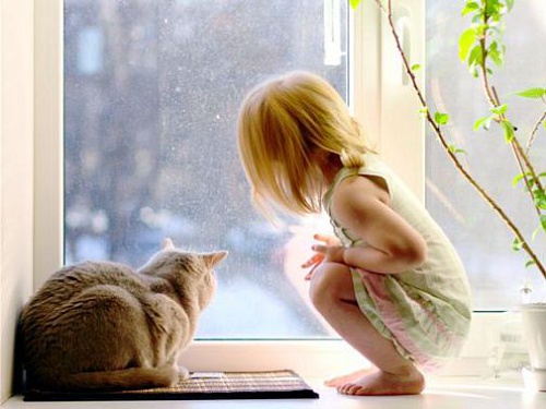 Детские оконные замки безопасности.